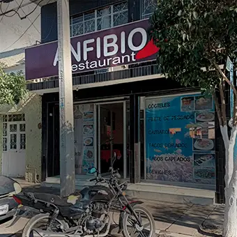 Anfibio Restaurant Fresnillo - foto 1