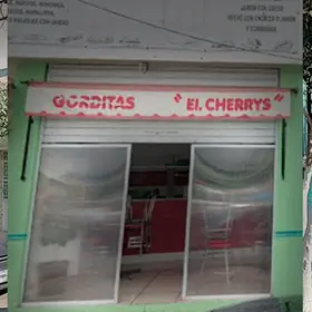 Tortas y Gorditas El Cherris Av. Plateros