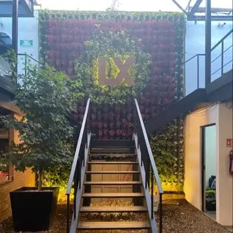 Barra La Xico Coyoacán - foto 1