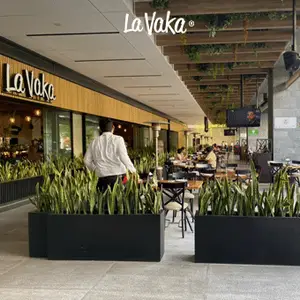 Restaurante La Vaka Guadalajara 5