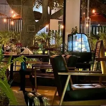 Restaurante Mérida 50 Roma Norte - foto 4