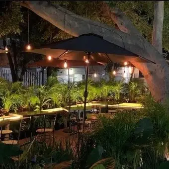Restaurante Mérida 50 Roma Norte - foto 1