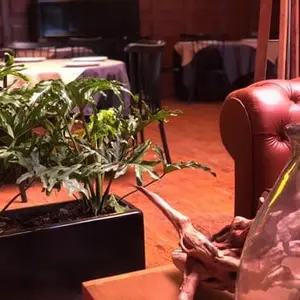 Restaurant Capitular Tlalpan 5