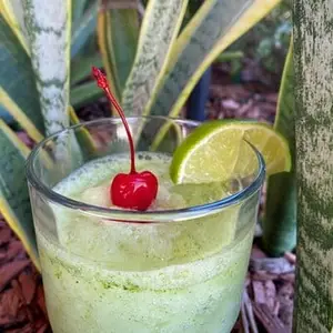 Moskito Sport Bar & Restaurante Holbox 6