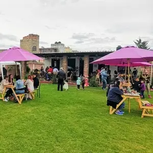 Restaurante Smokey Dog Metepec 5