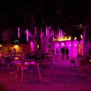 Restaurant Cola De Gallo Campeche 1