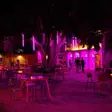 Restaurant Cola De Gallo Campeche