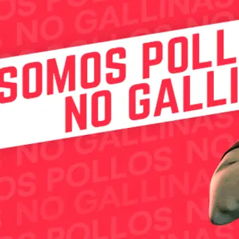 Club de Pollos Guadalupe - foto 1