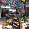 Restaurante Casa Don René Ensenada Baja California