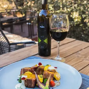 Vinícola Maglén Valle de Guadalupe - foto 4
