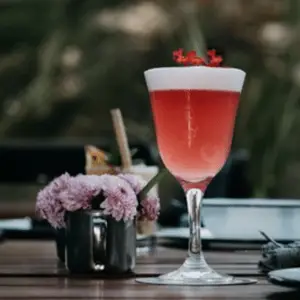 Restaurante Sur a Norte Oaxaca 6