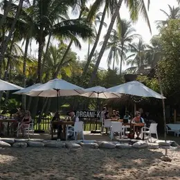 Restaurante Organik Nuevo Vallarta - foto 3