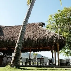 Restaurante Organik Nuevo Vallarta 7