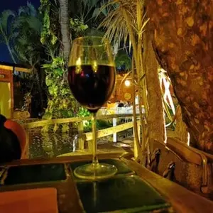 Restaurante El Fogon Manzanillo 9
