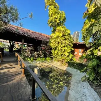 Restaurante El Fogon Manzanillo - foto 4