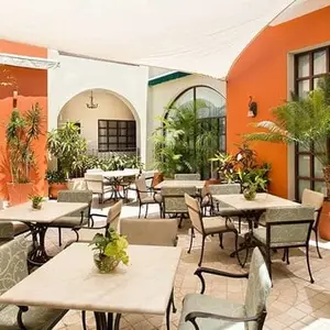 Restaurante El Jardín Café Todos Santos 5