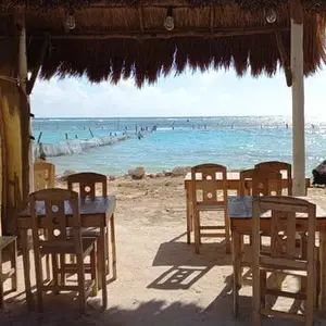 Restaurante Margaritas House Mahahual 3
