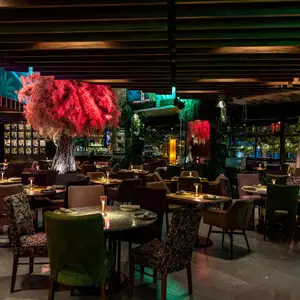 Restaurante Carajillo Masaryk 8