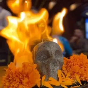 Restaurante Carajillo Satélite 8