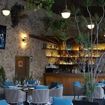 Restaurante Centanni Polanco - foto 1
