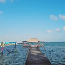 Restaurante & Beach Club Machos Mahahual - foto 2