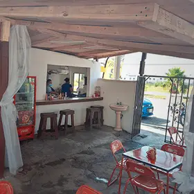 Tacos A Vapor La Migaja Apodaca