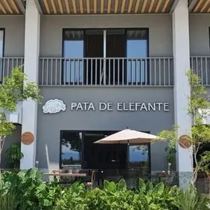 Restaurante Pata de Elefante Nuevo Vallarta 1