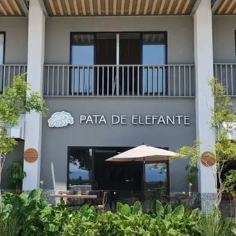 Restaurante Pata de Elefante Nuevo Vallarta - foto 1