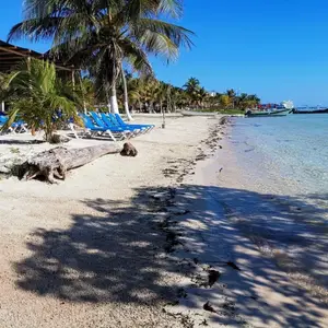 Restaurante Sulumar Mahahual 1