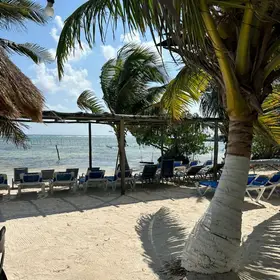 Restaurante Sulumar Mahahual