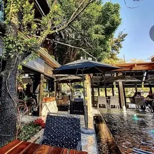 Restaurante Barolo 8C Chapalita Zapopan 7