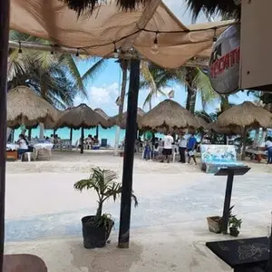 Restaurante El Capitán Mono Mahahual 7