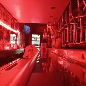 Bar Zeppelin Chihuahua