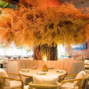 Restaurante Carajillo Mérida 8