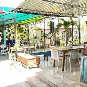Restaurante Green Verde Isla Mujeres 2