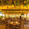 Restaurante El Lugar del Mariachi Querétaro