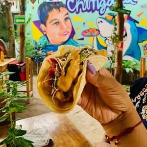 Restaurante Ceviches La Chingada Holbox 6