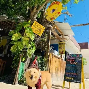 Restaurante Ceviches La Chingada Holbox 5