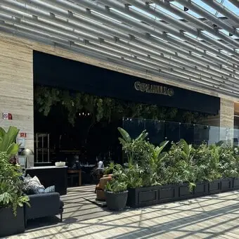 Restaurante Colmillo Artz Pedregal - foto 1