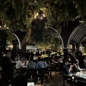 Restaurante Colmillo Artz Pedregal 7