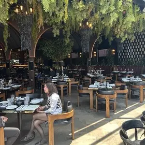 Restaurante Colmillo Artz Pedregal 5
