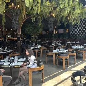 Restaurant Colmillo Artz Pedregal