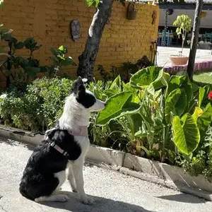 El Rincón de la Catrina Tepotzotlán 9