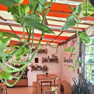 Restaurante Chilaquileón León 5