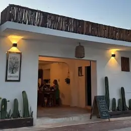 Restaurante Ciricote Bacalar - foto 3