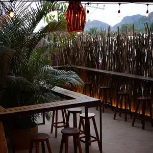 Bar Tiki Tepoztlán 5