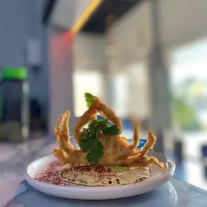 Restaurante BRUMA Tampico 2