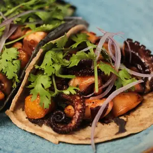 Restaurante Txori Cocina Libre Villahermosa 8