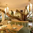 Restaurante Txori Cocina Libre Villahermosa