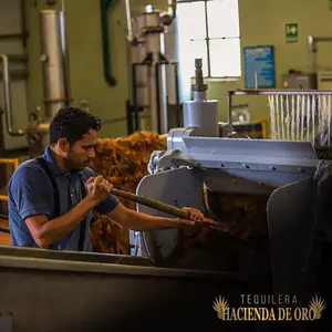 Tequilera Hacienda de Oro Amatitán 9